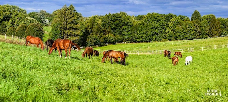 Haras national de Pompadour - entrée piétons - photo 1