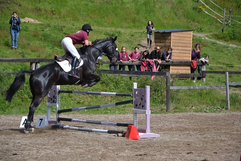 Centre Equestre d'Égletons Corrèze - photo 3