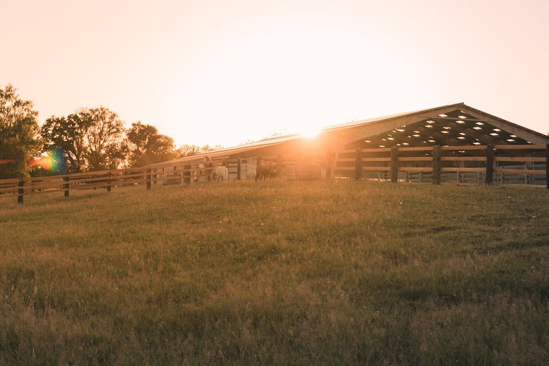 Ranch de lauzerat / cg reining horses