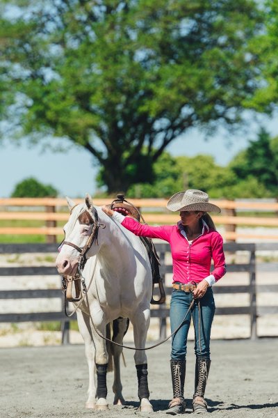 Ranch de lauzerat / cg reining horses - photo 2