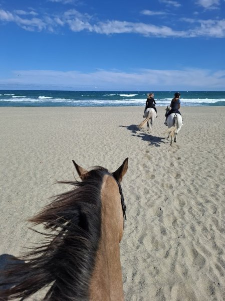 Centre de Tourisme Equestre Le Cheval Andalou - photo 1