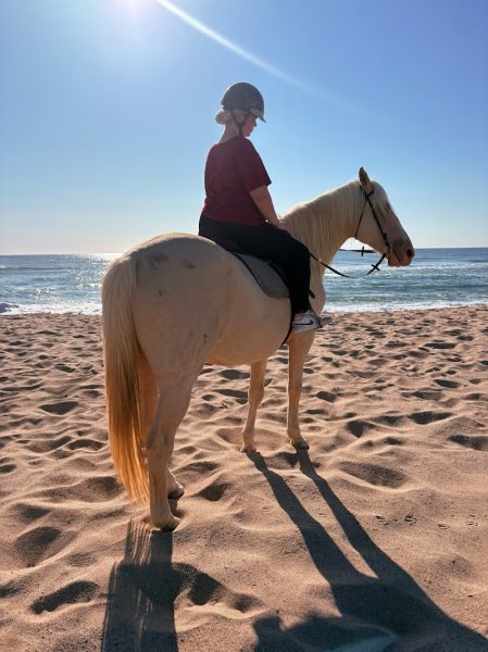 Centre de Tourisme Equestre Le Cheval Andalou - photo 2