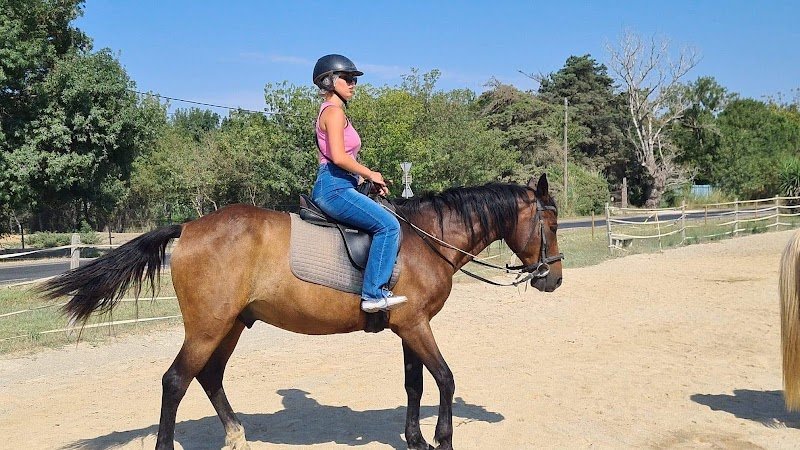 Centre de Tourisme Equestre Le Cheval Andalou - photo 3
