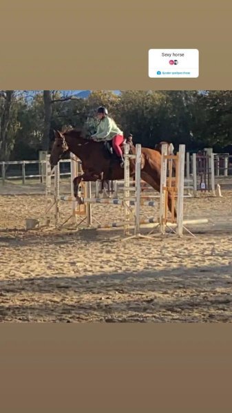 Centre Equestre UCPA-UDSIS - photo 1