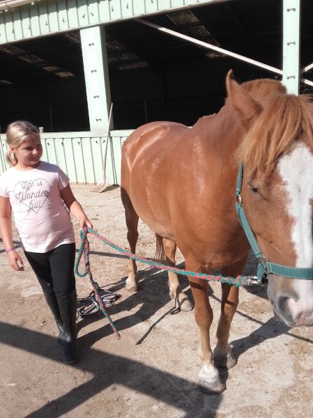 Centre Equestre UCPA-UDSIS - photo 3
