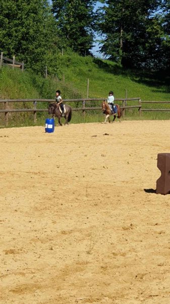 Club équestre du Mont Gargan - photo 3