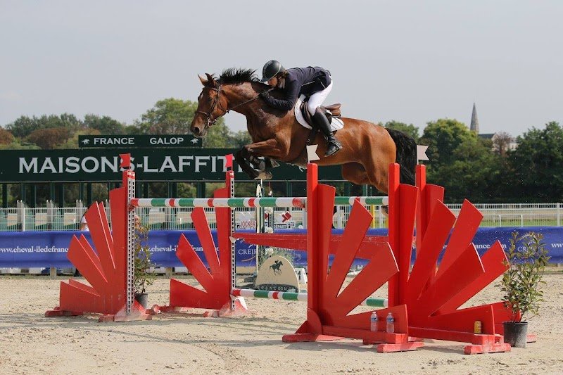 Ecurie Limoges - Écurie de propriétaires David Detour Cavalier pro CSo - photo 1