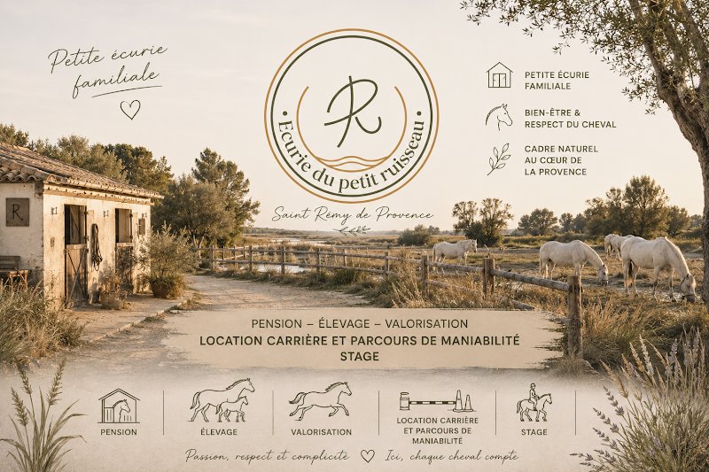 Écurie du petit ruisseau - photo 1