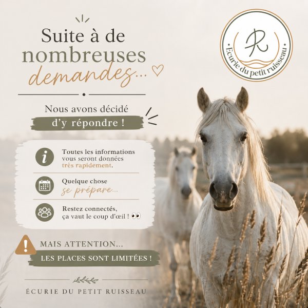 Écurie du petit ruisseau - photo 2