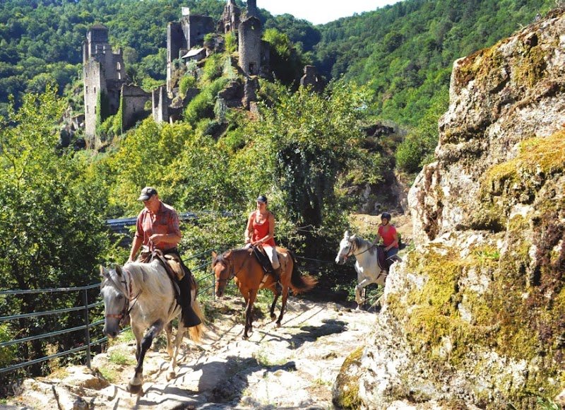 Comité Départemental de Tourisme Equestre de la Corrèze - photo 2