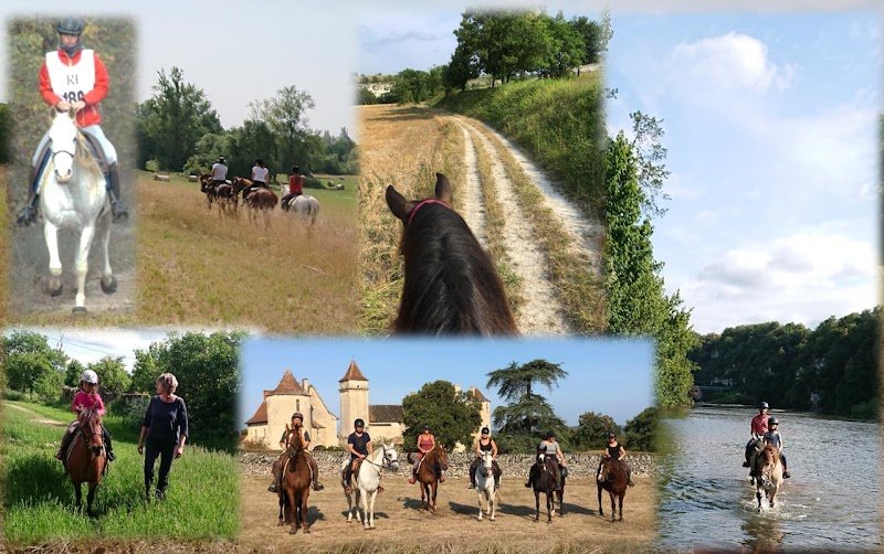 Chevaux du Causse - Randonnées équestres, Elevage Pintabian