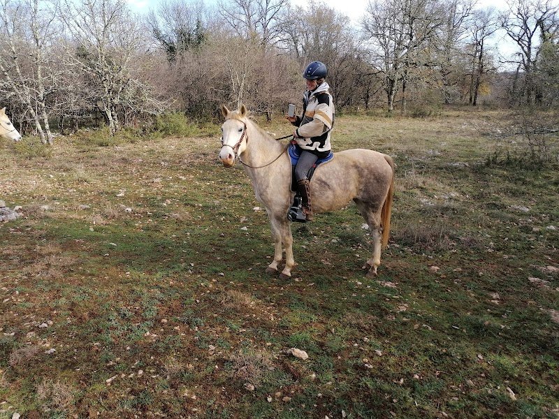 Chevaux du Causse - Randonnées équestres, Elevage Pintabian - photo 3