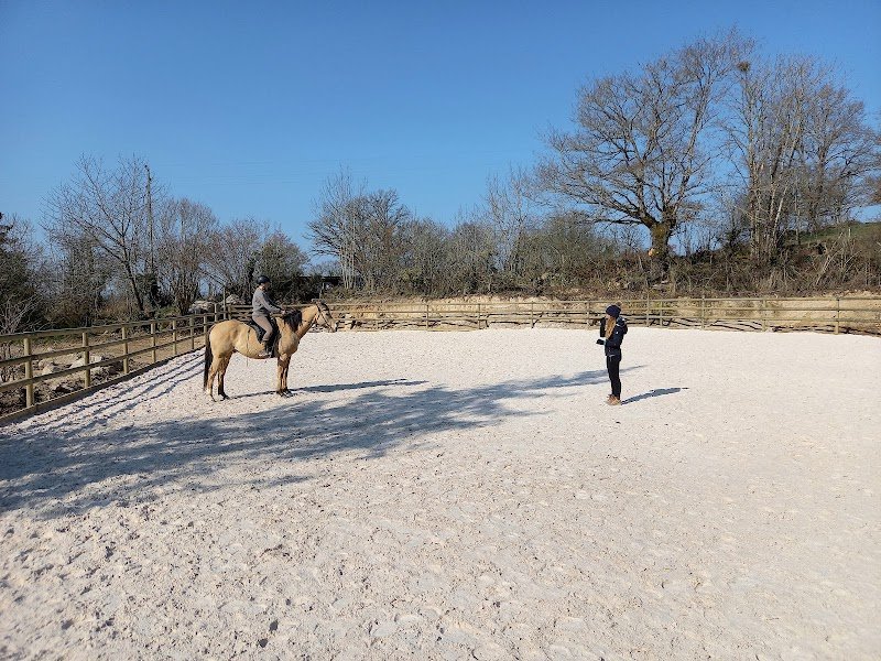 Haras Vie Passion - photo 3