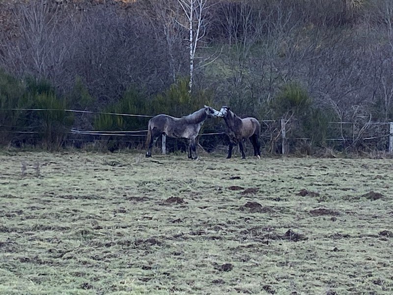 Centre Equestre de Coux