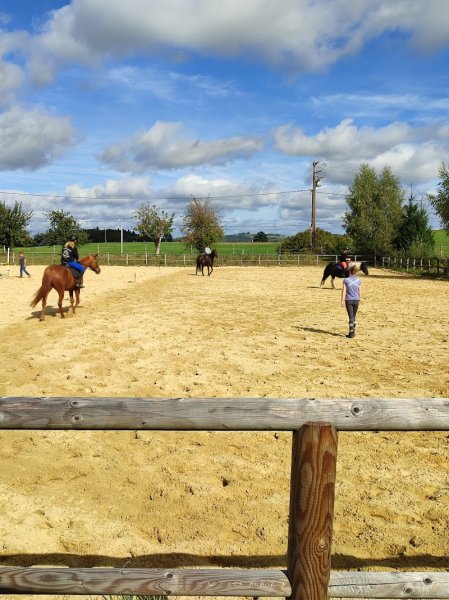 Les poneys du Thaurion - photo 1