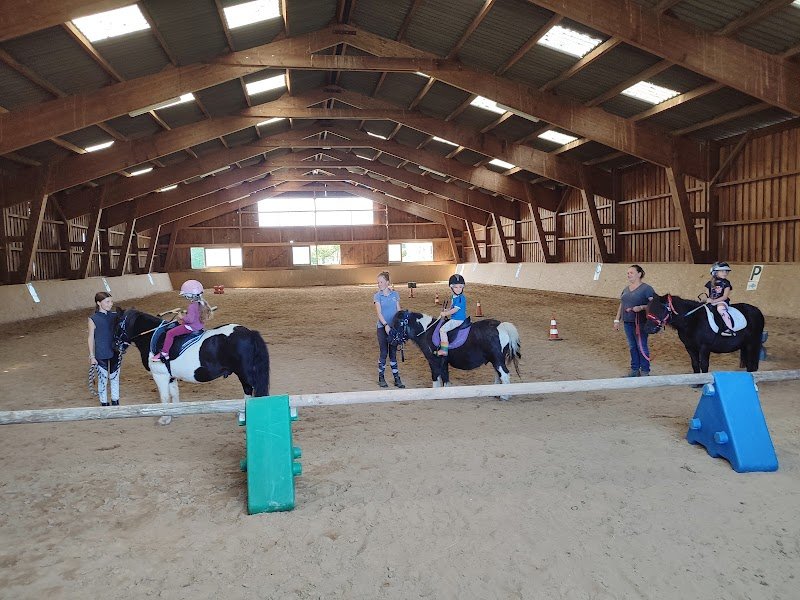 Les poneys du Thaurion - photo 3