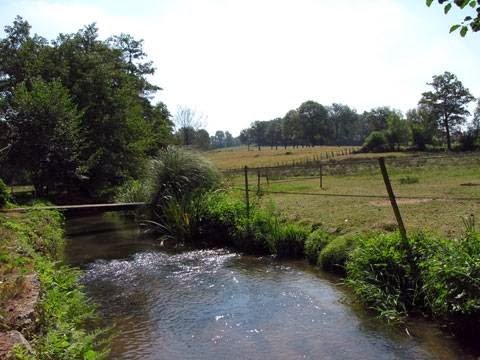 Centre Equestre & Gîte : LE MOULIN DU GOUTAY - photo 1