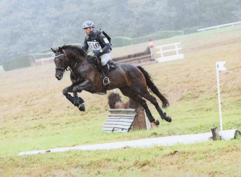 Haras de la Chanebiere - photo 2