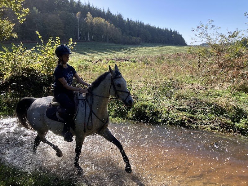 Cheval de coeur - photo 1