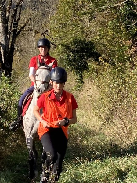 Cheval de coeur - photo 2