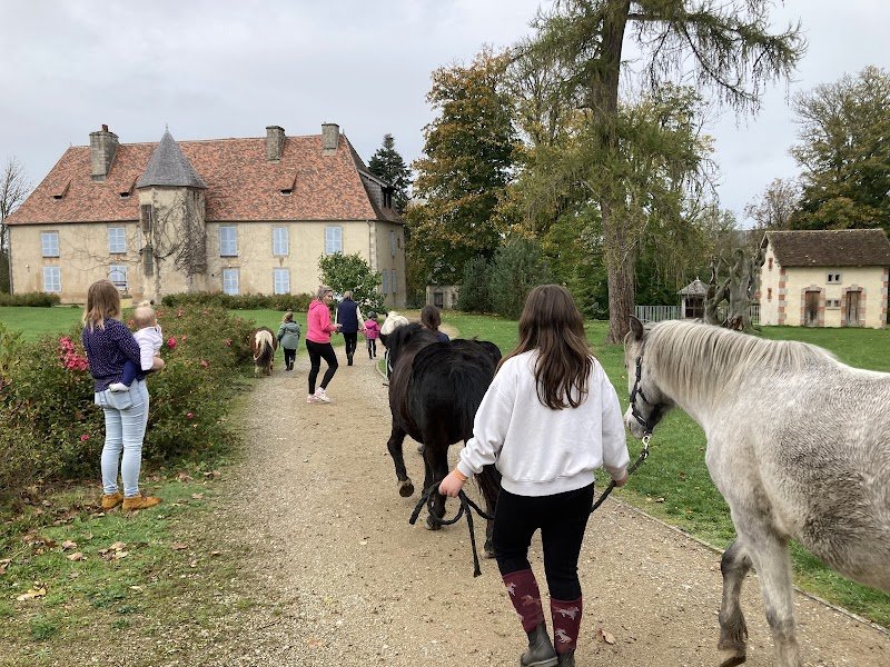 Cheval de coeur - photo 3