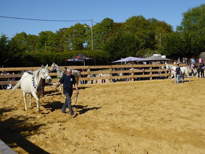 Centre Equestre