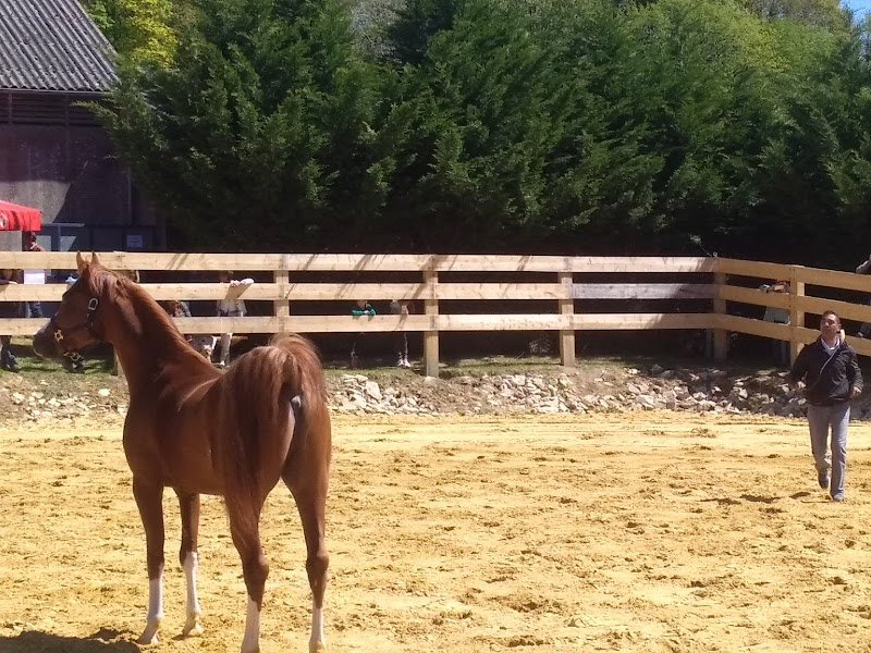 Centre Equestre - photo 3