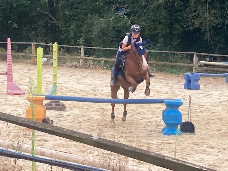 CHEVAL Pot' âgé - photo 3