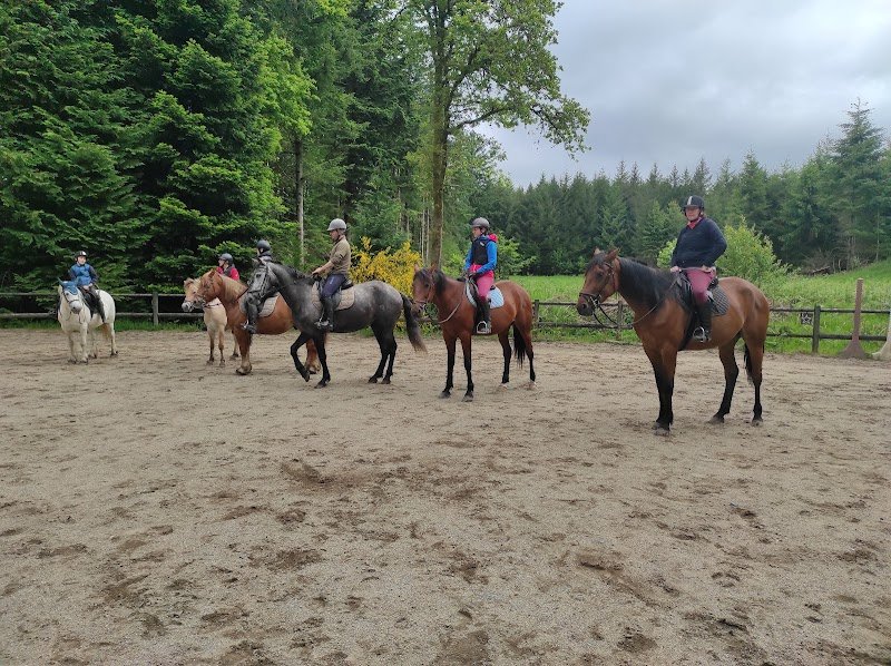 Vassivière à Cheval et gîte le ranch de Vassivière - photo 1