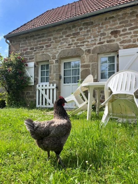 Gîte Le Fer à Cheval Vassivière - photo 1