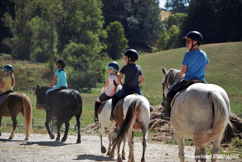 HARAS DU VERCORS - EARL - photo 3
