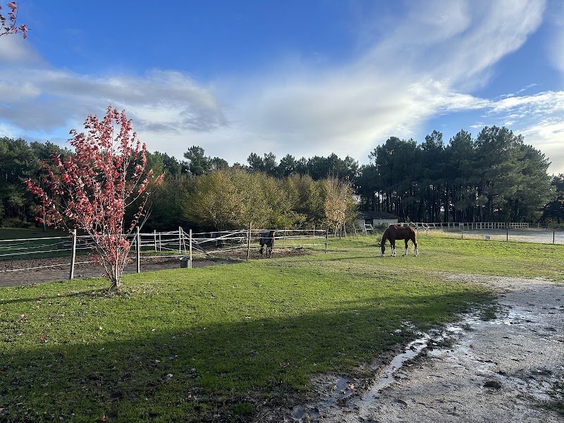Ecuries du Grand Vignoble - photo 1
