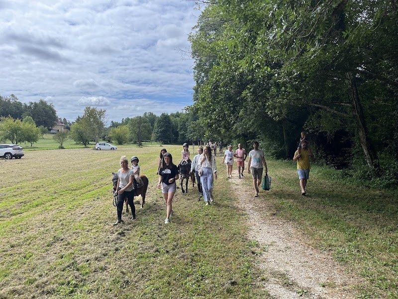 Ecuries du Grand Vignoble - photo 2