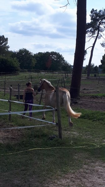 Ecuries du Grand Vignoble - photo 3