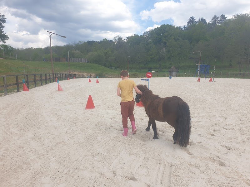 Écuries d'équithérapie et de médiation équine Terres Equi'Solidaires - photo 2