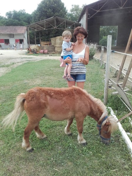 Ecuries Sportives des Quatre Temps - Poney Club à Razac sur l'Isle - photo 1