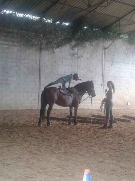 Ecuries Sportives des Quatre Temps - Poney Club à Razac sur l'Isle - photo 2