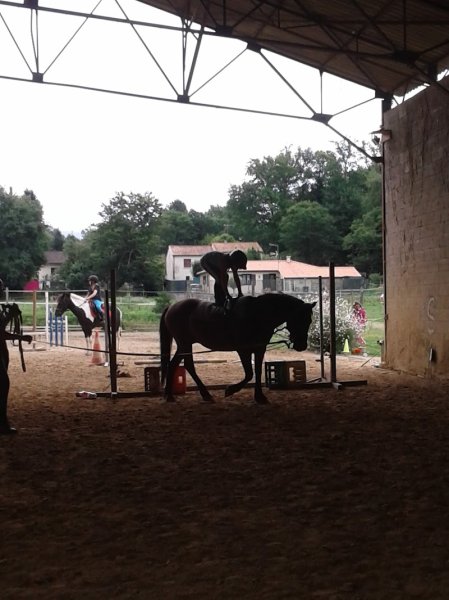 Ecuries Sportives des Quatre Temps - Poney Club à Razac sur l'Isle - photo 3