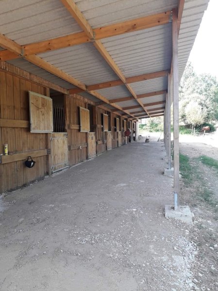 Centre Equestre de Neuvic sur l'isle - photo 3