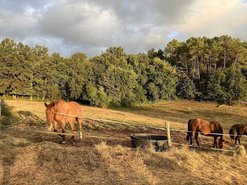 Ferme Equestre Hippocamp' - photo 2