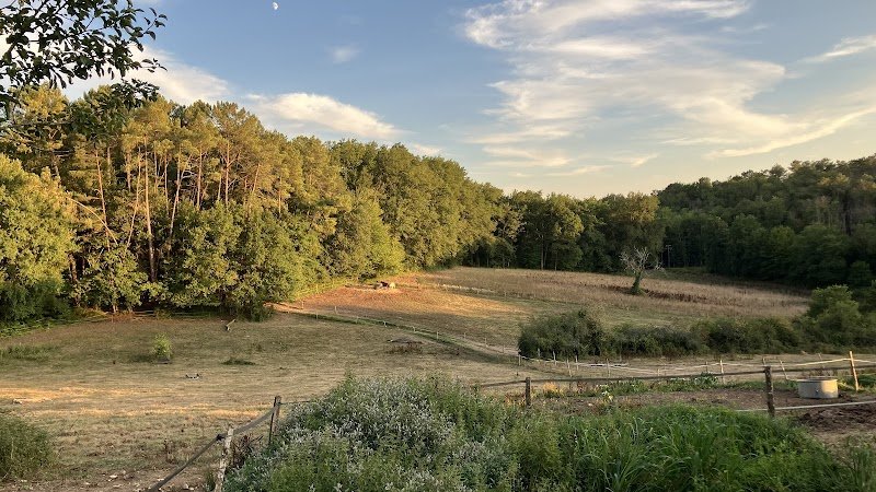 Ferme Equestre Hippocamp' - photo 3