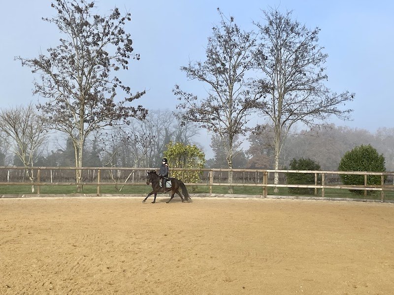 Prim's Stables - photo 1
