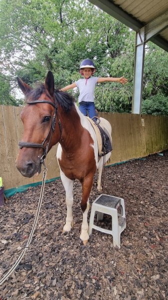 Poney Club Arc En Ciel - photo 2