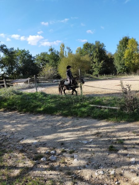Poney Club