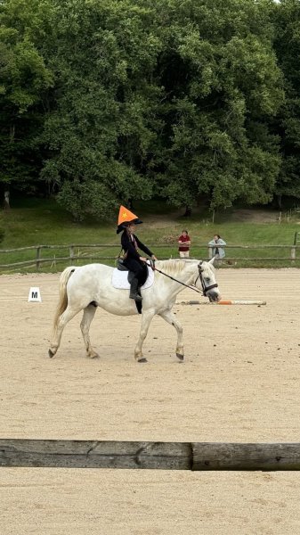 Les Ecuries Du Gaudoux - photo 1