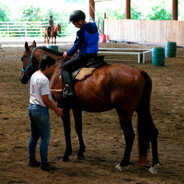 Centre Equestre Du Pays Beaumontois - photo 2