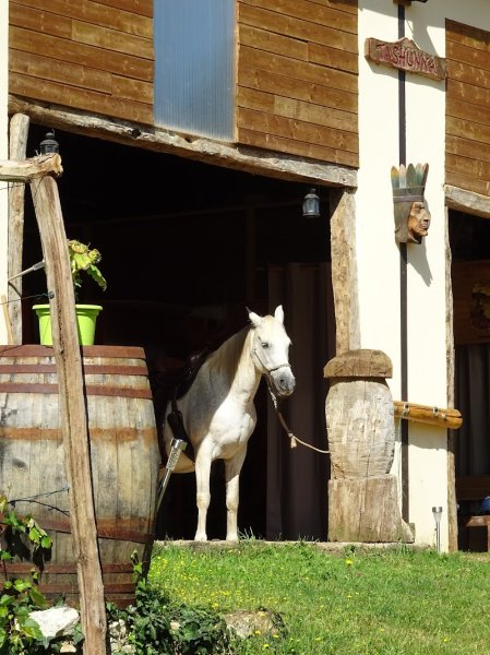 Ferme équestre Tashunka Town - photo 1