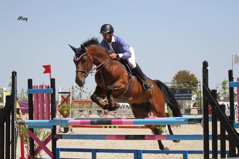 Écurie Equiperf - photo 1