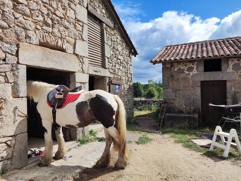 MERIGAUD HORSECLUB - photo 1