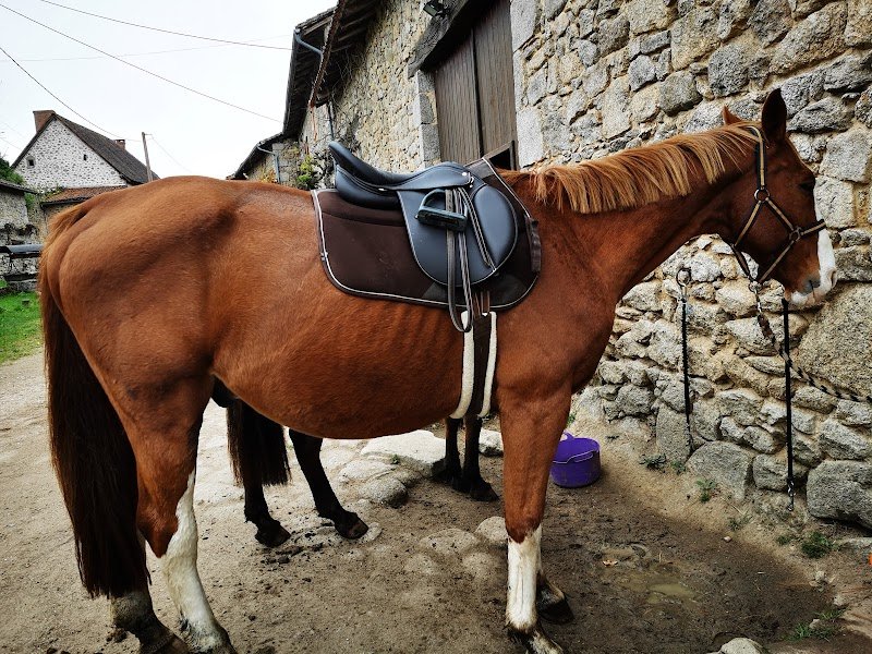 MERIGAUD HORSECLUB - photo 2